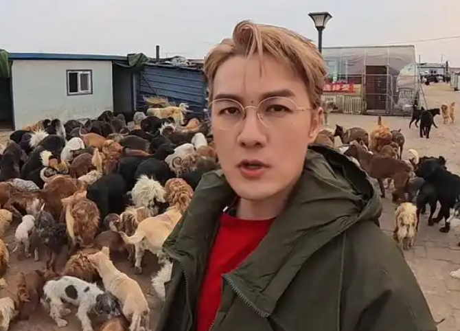 美的携手吴克群奔赴一场生命之约：让守护流浪动物的“英雄”不再孤单