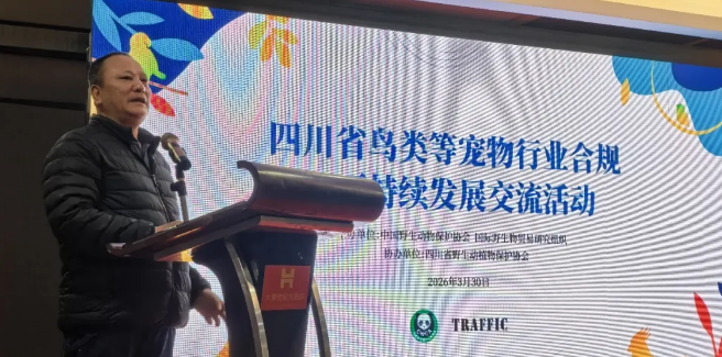 四川省鸟类等宠物行业合规与可持续发展交流活动成功举办