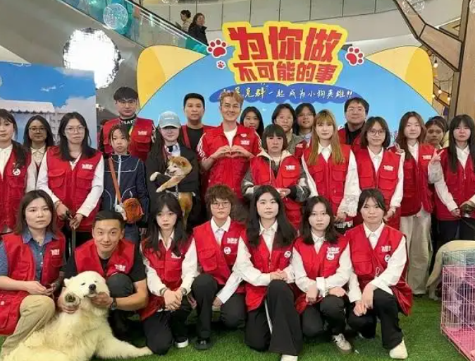 美的携手吴克群奔赴一场生命之约：让守护流浪动物的“英雄”不再孤单