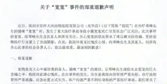 广东一网红猫因医疗事故离世，医院已与宠主达成和解
