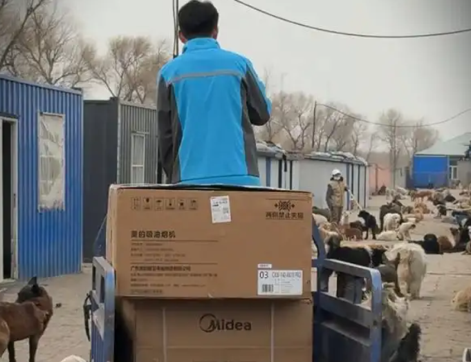 美的携手吴克群奔赴一场生命之约：让守护流浪动物的“英雄”不再孤单