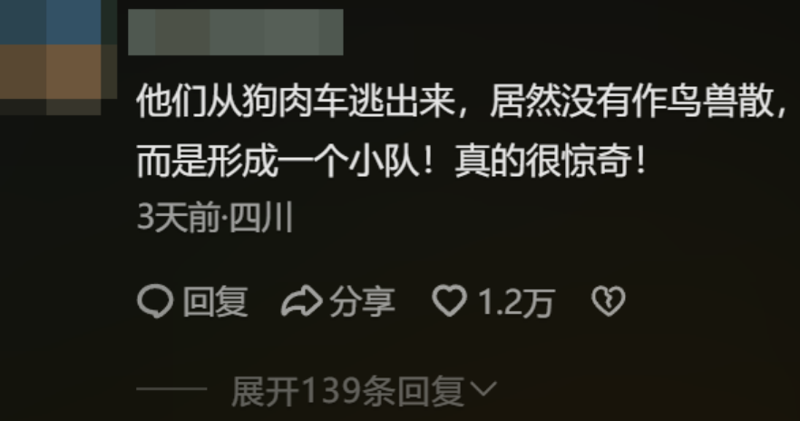 大反转！火遍全网的7只狗狗“逃亡”事件，真相来了！