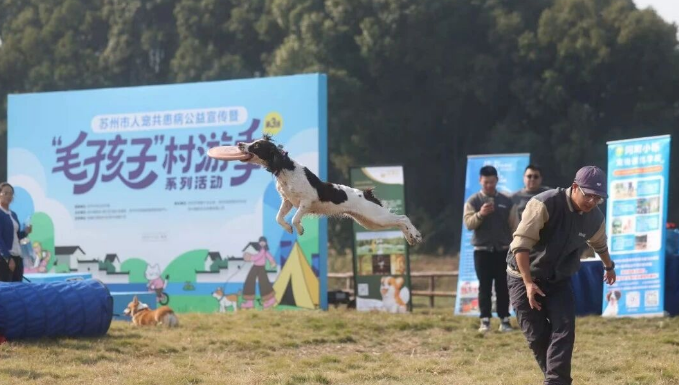 毛孩集结，趣动狮山！苏州市第十届长三角宠物展宠物运动会热血启幕
