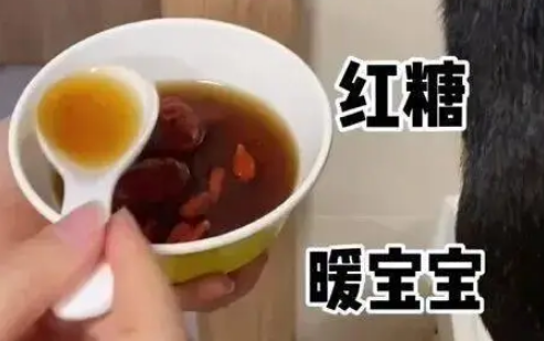 柴犬来大姨妈卧床不起，你看吧…痛经狗都受不了