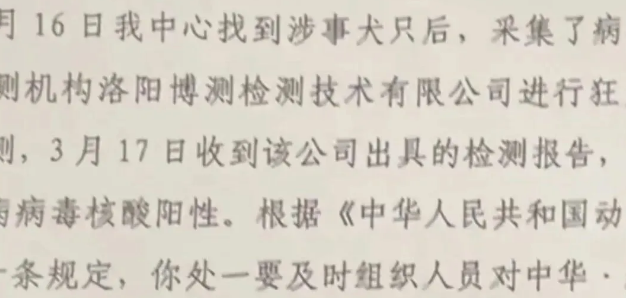 女子遭流浪狗尾随入室咬伤，狂犬病毒检测呈阳性，多方回应