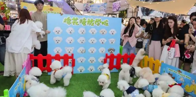 正佳超级萌宠节启幕，打造现实版“疯狂动物城”