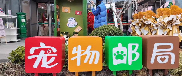 温情与规则并行，上海“宠物友好型城市”建设更加精细化