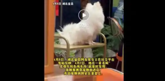 湖北一烧烤店宠物狗全程蹲坐在菜架上，当地市场监管部门将进行核实