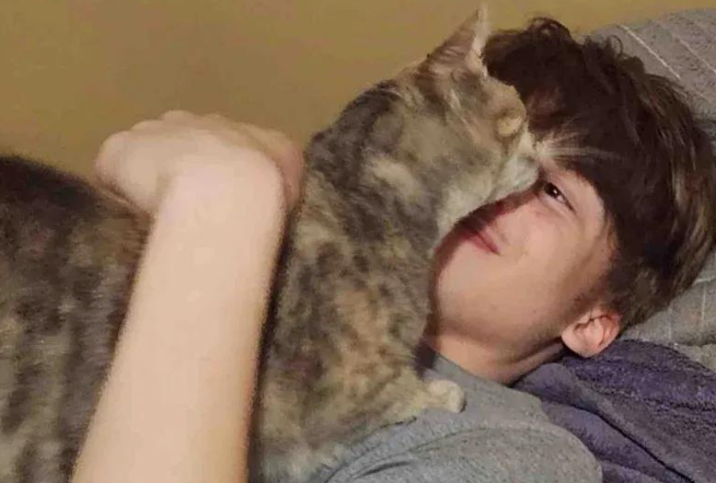 流浪小奶猫被带回家喂养，化身厨房小监工，这只三花太粘人