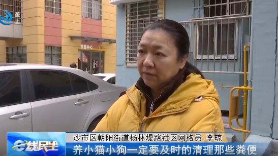  流浪猫扰民 居民楼里来了不速之客