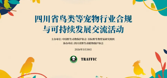 四川省鸟类等宠物行业合规与可持续发展交流活动成功举办