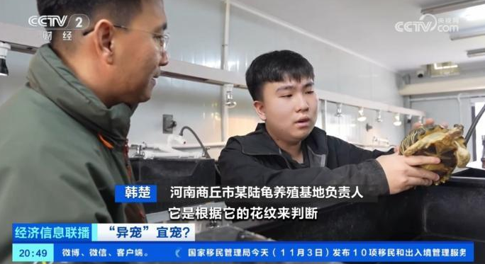 “异宠热”兴起，市场规模近百亿元！记者探访宠物市场