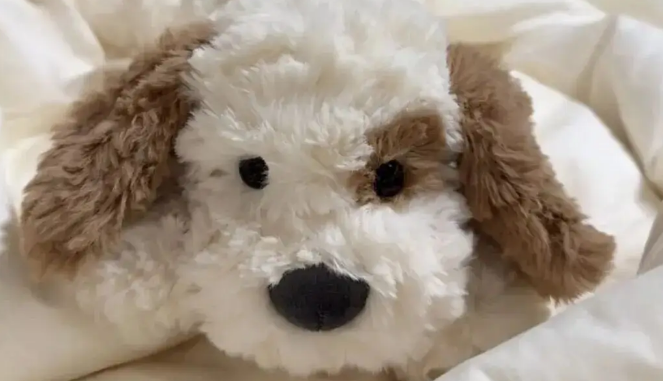 当主人想独处一会儿，但家里的狗不同意