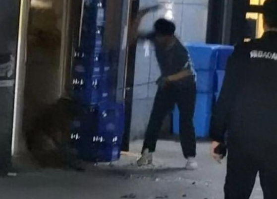 柯基犬主人持酒瓶暴打马犬事件进展：当事人被拘