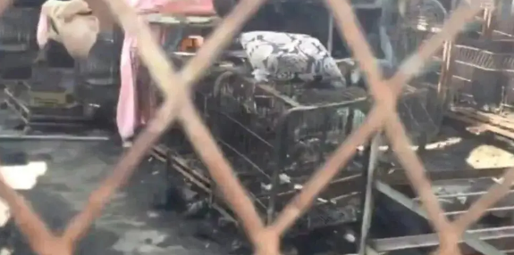 房子被人纵火，猫咪逃生后猛扑进主人怀里：还好你还在！