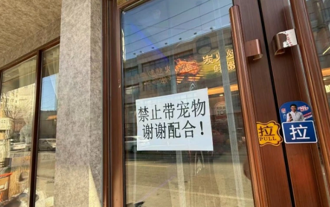 一烤肉店有顾客带狗上桌，店方：未触碰餐具