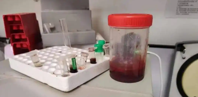 动物血库灰色产业链曝光，画面触目惊心