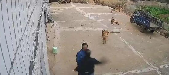 警方通报4村民因养狗冲突受伤，双方均有伤情