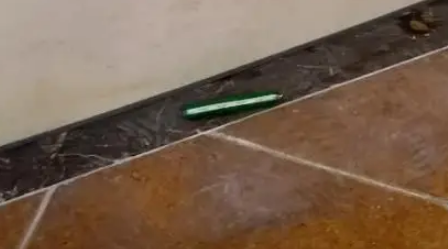 狗狗离世后，我在旧衣口袋摸到一撮它的毛发，汪：这个留给妈妈