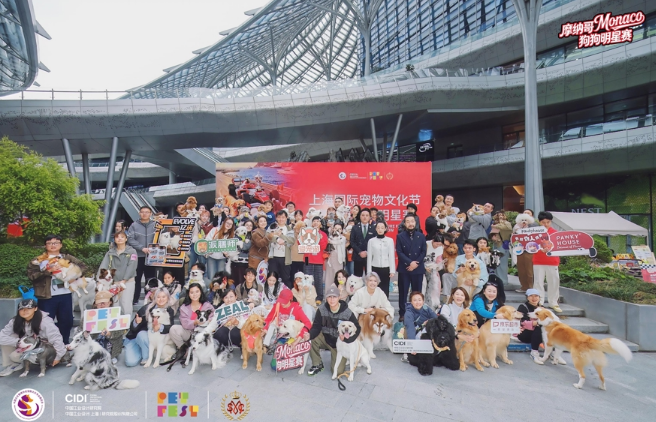 首项中外合作宠物赛事“摩纳哥狗狗明星赛”上海西岸启幕