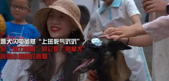 云南楚雄警犬被通报批评，这个梗好有意思啊