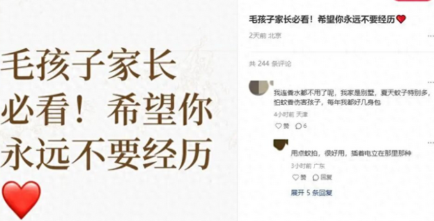 花6000元救不活的猫，被AI揪出“隐形杀手”！