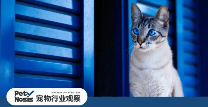 中宠、乖宝三季报背后，宠物行业市场竞争迎来新变化？