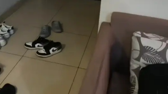 深夜的6楼，男子与猫咪的意外相逢，开启一段充满温情的生活