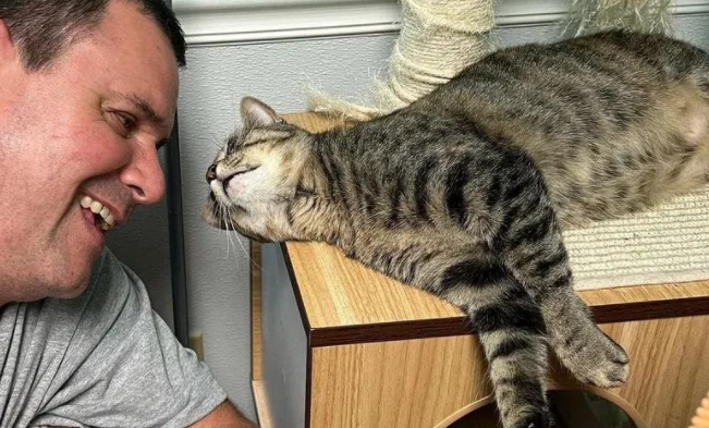 被遗忘的小猫，用800天的等待，终于等到了自己的天命人