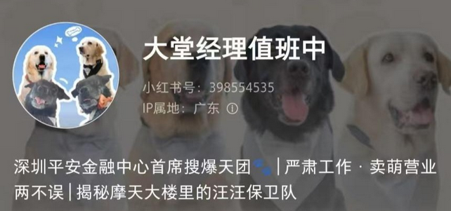 平安金融中心“汪汪队”小狗的真实身份竟是搜爆犬