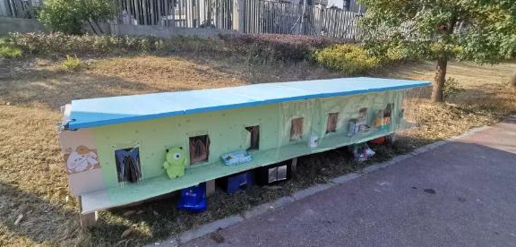 小区喂流浪猫搭窝，物业扔窝驱猫引争执