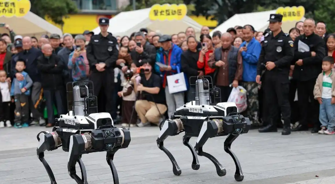 绵阳：警犬机器狗同台秀技，流浪犬待领养！