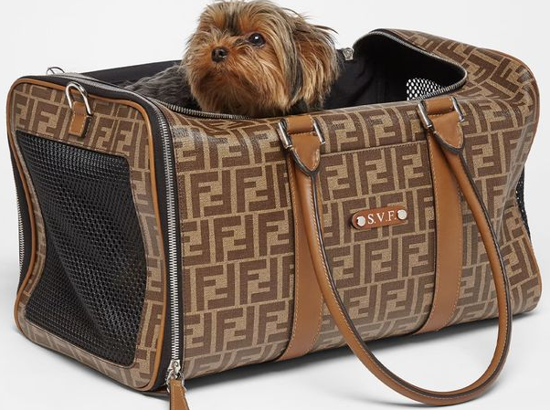 时尚圈的终极战场，为何是毛孩子