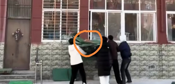 猫咪被困高墙上无助的嘶喊，学生们寒风中托举垫子成功救援