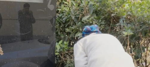 上海爷叔因病离世，狗狗整日不吃不喝后突然消失