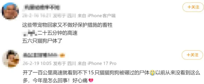 男子300公里高速发现62具猫狗尸体，推测出行放车外遭意外