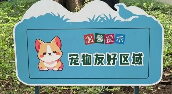 带上狗狗去“踏秋”！黄浦已有4座公园开启宠物友好试点