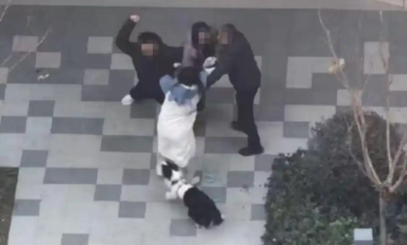 通报“女子牵绳遛狗被一家人围殴”，狗主人：有犬证。