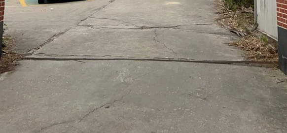 事发莆田一小区，流浪狗半个月内咬了3人！街道已介入