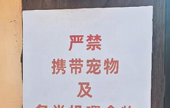 天津动物园回应游客带宠物狗看顶流熊猫喜乐：明令禁止