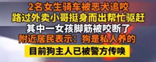 女学生被猎犬撕咬，脚筋咬断仍不松口，狗主人被拘，居民再曝猛料