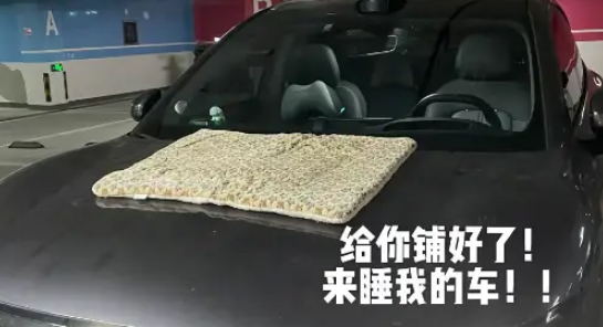 流浪猫无视防猫垫，小姐姐暖心铺垫，猫：这按摩器太舒服