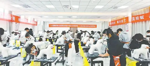 “它经济”崛起，江西宠物经济如何“出圈”？