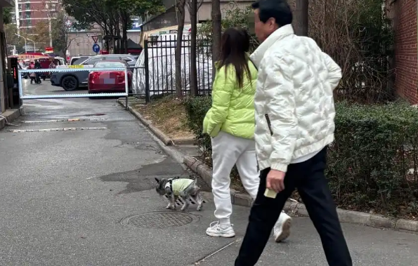 “遛狗不栓绳将违法”引热议，养宠新规实施前走访：多数养犬人已知晓