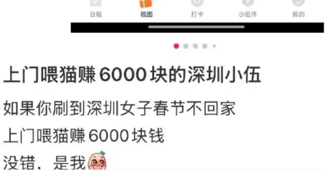 春节假期宠物上门喂养“狂赚”16万？也有“血的教训”