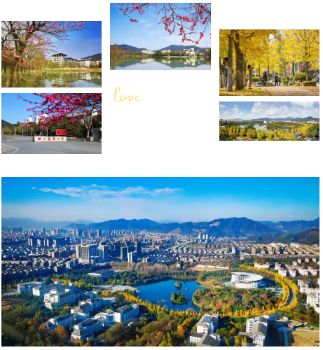 浙江农林现代宠物商学院CEO班第二期开始招募同学啦！