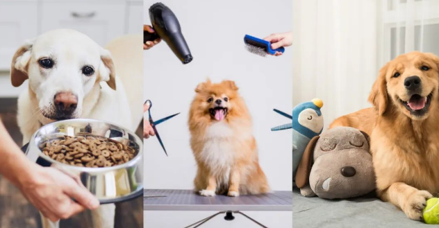 国货崛起推动宠物经济实现价值链攀升