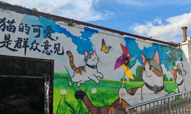 “猪咪咪”当上猫站长，从园区“团宠”到共治纽带