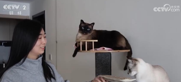 宠物消费市场规模超三千亿元 保障需求催生行业新增长点