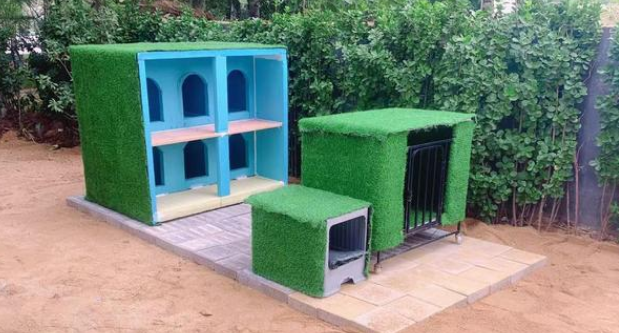 昌大物业启动“暖冬屋”计划 为流浪动物筑避风港